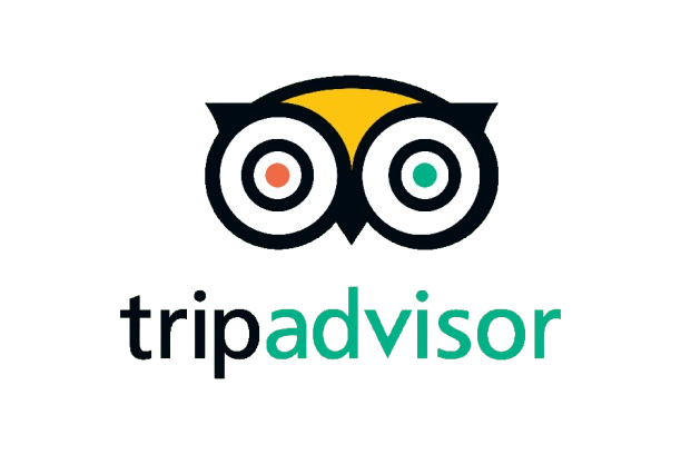 TripAdvisor-Logo.wine-removebg-preview